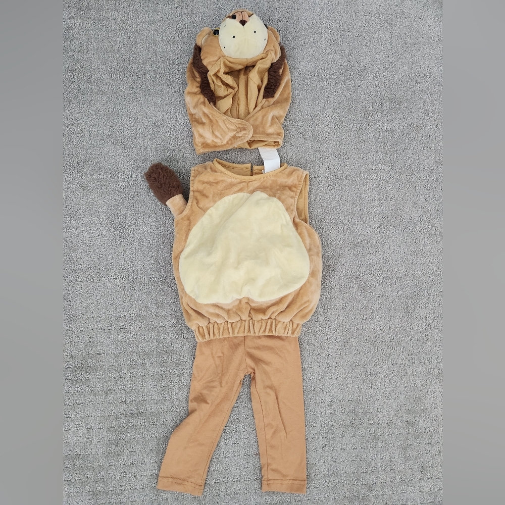 Baby Lion Cub Halloween Costume Boy/ Girl 6-12 M - 3 piece set